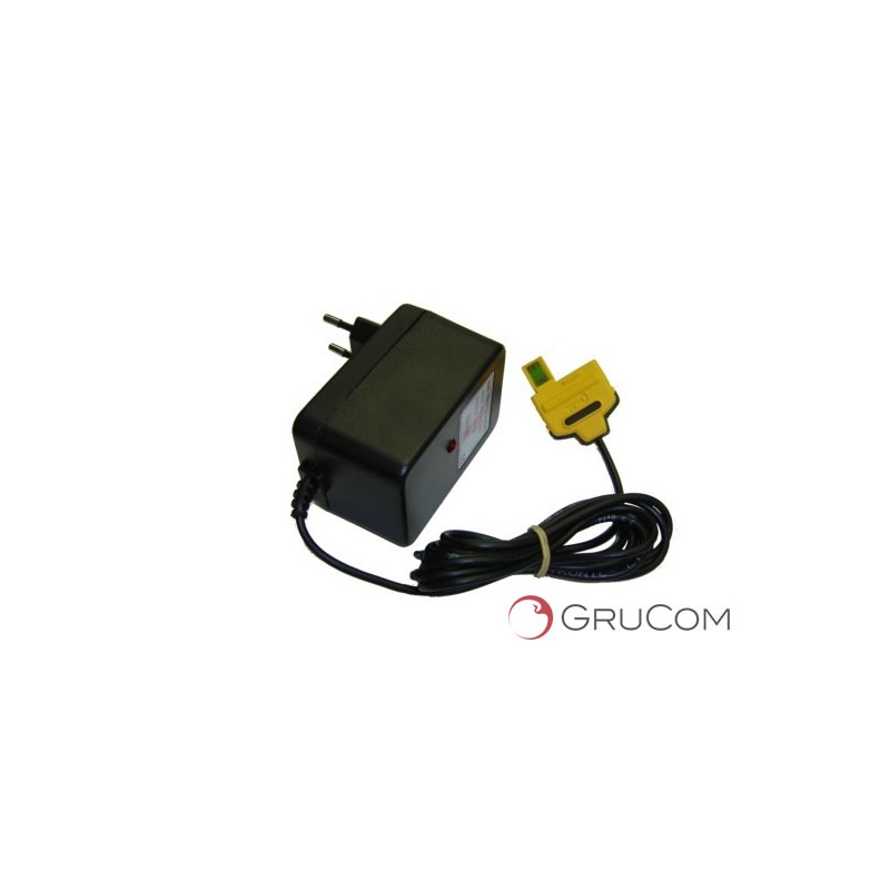 Cargador original Itowa