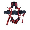 Harness with belt, lanyards, and carabiners