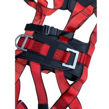 Harness with belt, lanyards, and carabiners