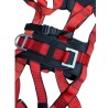 Harness with belt, lanyards, and carabiners