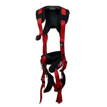 Harness with belt, lanyards, and carabiners