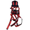 Harness with belt, lanyards, and carabiners