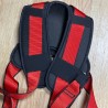 Harness with belt, lanyards, and carabiners